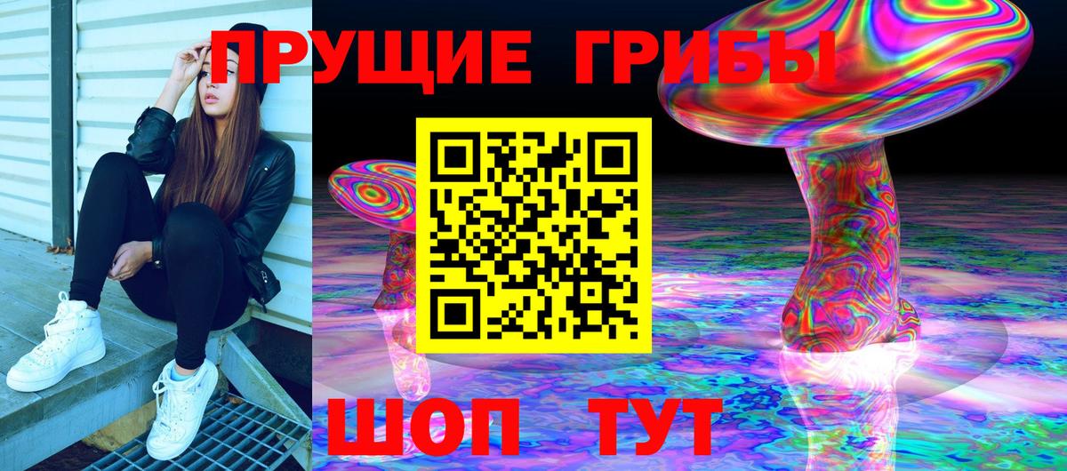 Псилоцибиновые грибы GOLDEN TEACHER Рыбинск