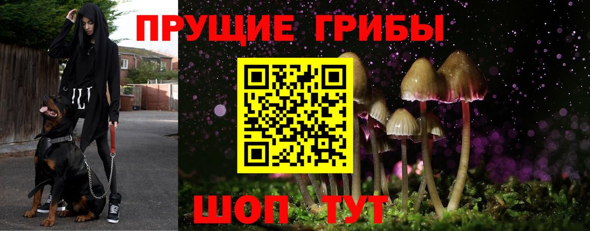 Рыбинск  как найти закладки  Вход с VPN  Псилоцибиновые грибы Cubensis  Галлюциногенные грибы Magic Shrooms 